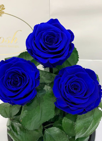 Букет три сині троянди в колбі - Grand 33 см LEROSH (278020007)