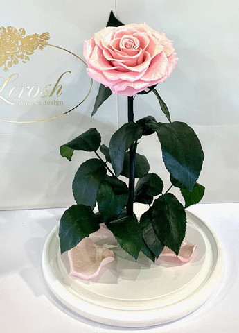 Рожева Перлова троянда в колбі - Lux 33 см LEROSH (278020010)