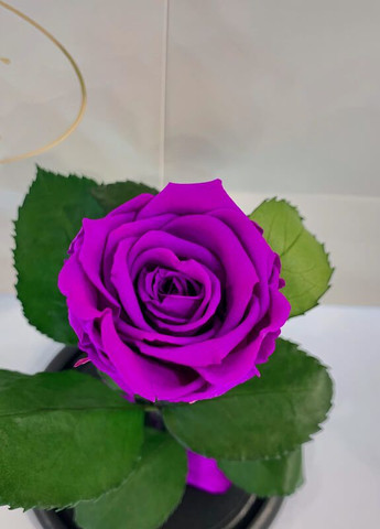 Фіолетова троянда в колбі - Classic 27 см LEROSH (278020013)