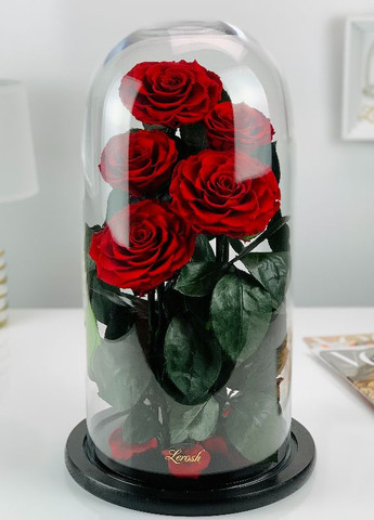 Букет п'ять червоних троянд у колбі - Elite 43 см LEROSH (278020002)