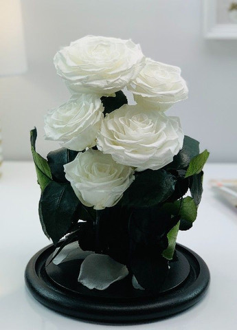 Букет п'ять троянд у колбі - Lux 33 см LEROSH (278019975)