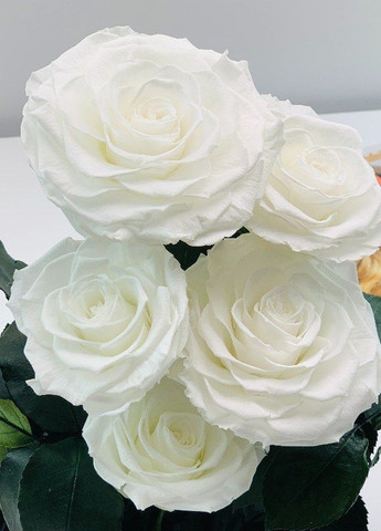 Букет п'ять троянд у колбі - Lux 33 см LEROSH (278019975)