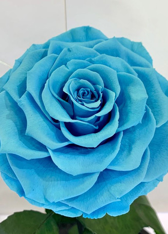 Блакитна троянда в колбі - Lux 33 см LEROSH (278020053)