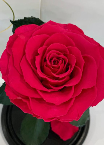 Малиновая роза в колбе - Premium 27 см LEROSH (278019999)