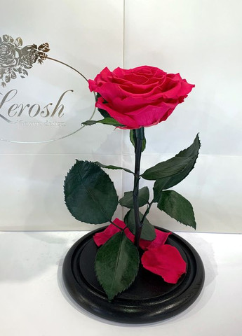 Малиновая роза в колбе - Premium 27 см LEROSH (278019999)