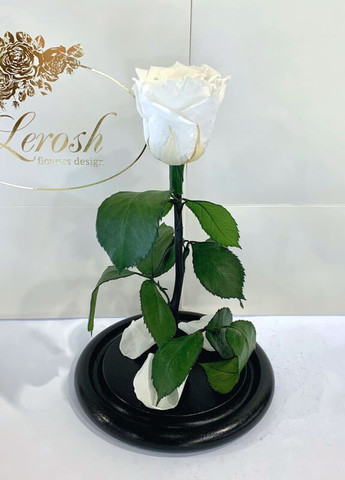 Белая роза в колбе - Classic 27 см LEROSH (278020059)