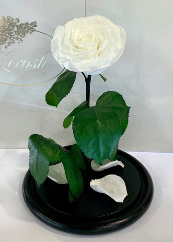 Біла троянда в колбі - Lux 33 см LEROSH (278020043)