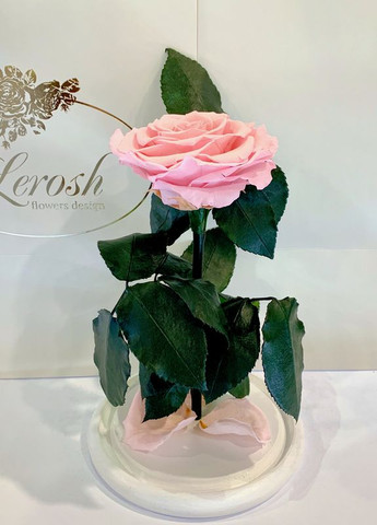 Рожева троянда в колбі - Premium 27 см LEROSH (278020032)