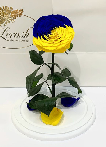 Троянда в колбі "Прапор України" - Lux 33 см на білій підставці LEROSH (278019978)