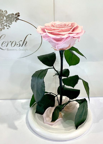 Рожева Перлова троянда в колбі - Premium 27 см LEROSH (278020050)