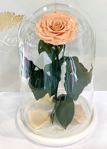 Персикова троянда в колбі - Lux 33 см LEROSH (278020006)
