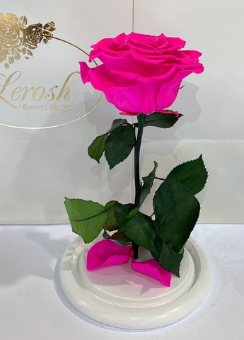 Ярко-розовая Фуксия роза в колбе - Premium 27 см на белой подставке LEROSH (278019970)