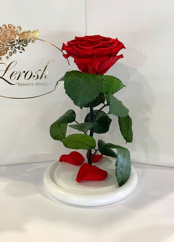 Червона троянда в колбі - Premium 27 см на білій підставці LEROSH (278020055)