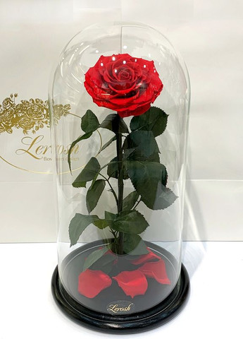 Червона троянда в колбі - Elite 43 см LEROSH (278019993)