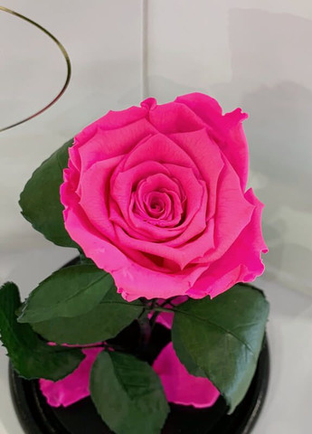 Ярко-розовая Фуксия роза в колбе - Classic 27 см LEROSH (278020045)