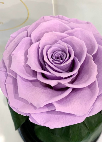 Лиловая роза в колбе - Premium 27 см LEROSH (278020003)