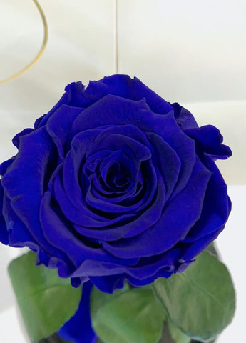 Синя троянда в колбі - Classic 27 см LEROSH (278020052)
