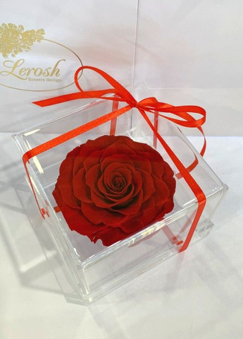 Красный стабилизированный бутон розы в подарочной коробке - Premium LEROSH (278019949)
