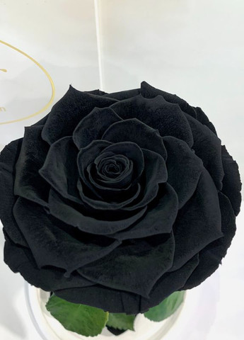 Чорна троянда в колбі - Premium 27 см LEROSH (278019962)