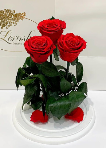 Букет три червоні троянди в колбі - Grand 33 см на білій підставці LEROSH (278020011)