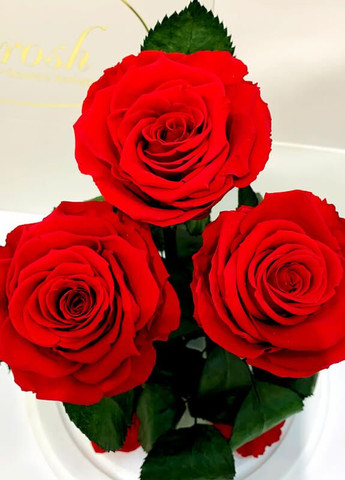Букет три червоні троянди в колбі - Grand 33 см на білій підставці LEROSH (278020011)