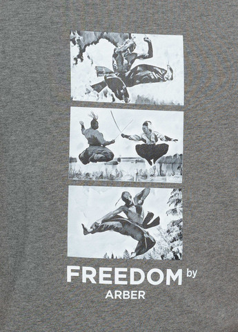 Серая футболка мужская freedom серая Arber T-SHIRT FF19