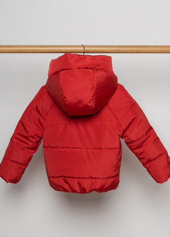 Красная демисезонная куртка демисезонная люкс No Brand