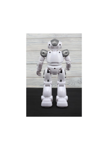 Інтерактивний робот K2 GREY No Brand (256704059)