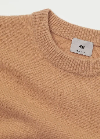 Темно-бежевий демісезонний светр H&M