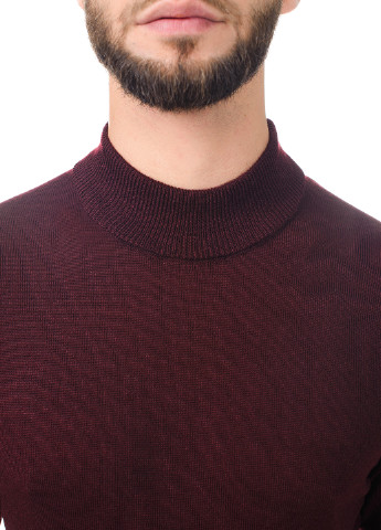 Бордовий чоловічий светр з коміром "стійка" SVTR