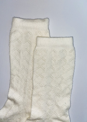 Шкарпетки H&M (256963753)