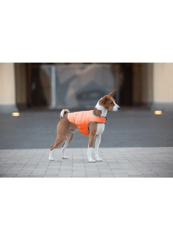 Курточка-накидка для собак S Airy Vest (257051359)