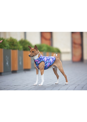 Курточка для собак рисунок "Рик и Морти 1" L65 WAUDOG (257050313)