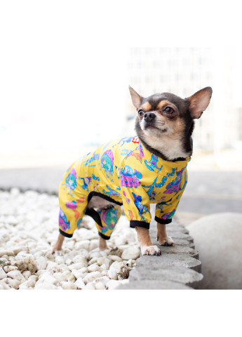 Дождевик для собак рисунок "Рик и Морти 3" XS22 WAUDOG (257050942)