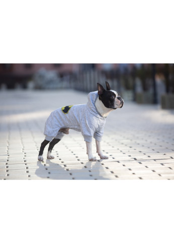 Комбінезон для собак малюнок "Бетмен лого" XS22 WAUDOG (257050265)