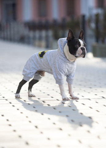 Комбінезон для собак малюнок "Бетмен лого" XS22 WAUDOG (257050265)