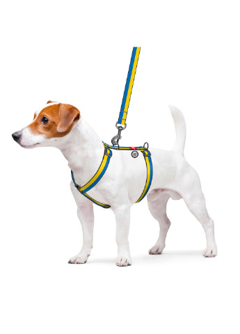 Шлея для собак анатомическая H-образная с QR-паспортом, рисунок "Colors of freedom" M WAUDOG (257047809)