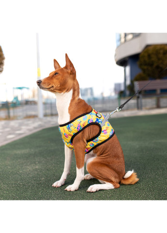 Шлея для собак м'який з QR-паспортом, малюнок "Рік і Морті 3" S1 WAUDOG (257051090)
