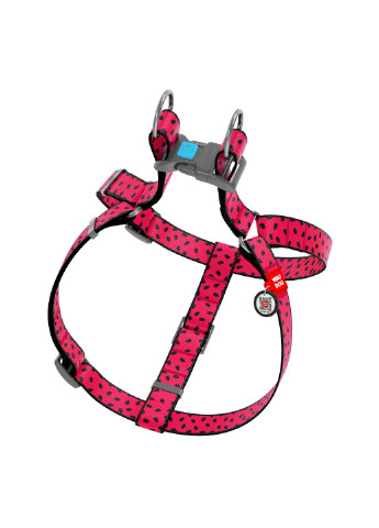 Шлея для собак анатомічний з QR паспортом, малюнок "Кавун" L WAUDOG (257049234)