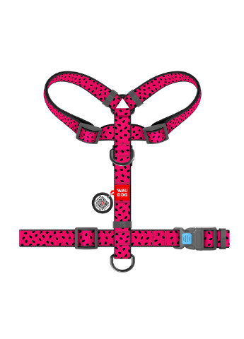Шлея для собак анатомічний H-подібний з QR-паспортом, малюнок "Кавун" S WAUDOG (257050917)