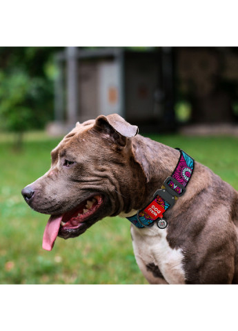 Нашийник для собак нейлоновий з QR паспортом, малюнок "Літо" XXL WAUDOG (257048320)