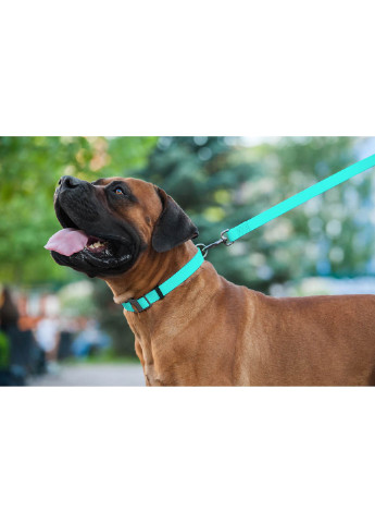 Поводок для собак водостойкий светящийся 122х1,5 см WAUDOG (257049204)