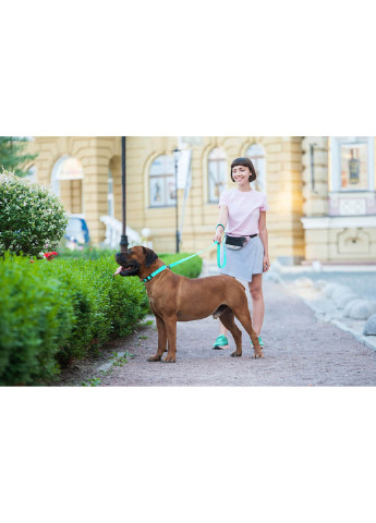 Поводок для собак водостойкий светящийся 122х1,5 см WAUDOG (257049204)