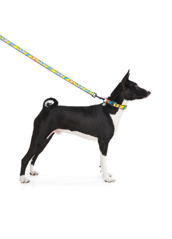 Повідець для собак нейлоновий малюнок "Рік і Морті 1" 122х2,5 см WAUDOG (257048107)