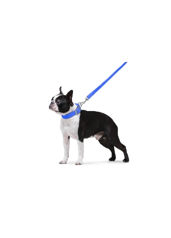 Поводок нейлоновый двойной 122х2 см Dog Extreme (257051373)