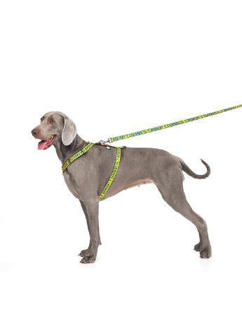 Повідець для собак нейлоновий малюнок "Сміливість" 122х2,5 см WAUDOG (257051125)