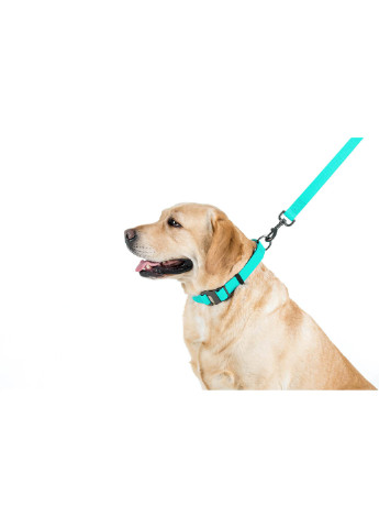 Повідець для собак водостійкий, що світиться 183х2 см WAUDOG (257046292)