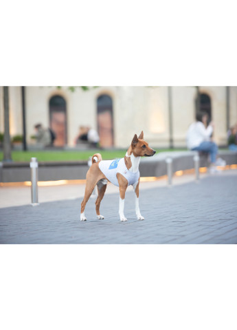 Майка для собак рисунок "Смелость" M47 WAUDOG (257049066)