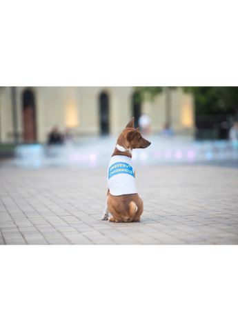 Майка для собак рисунок "Смелость" S40 WAUDOG (257049321)