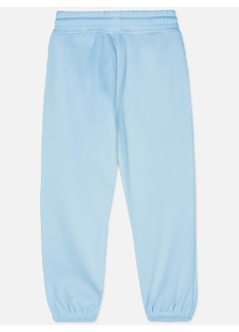 Голубые спортивные демисезонные брюки Primark